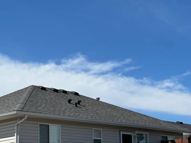 Best Storm Damage Roof Repair  in East St Louis, IL